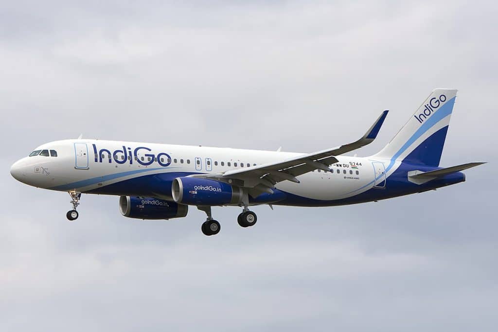 indiGo